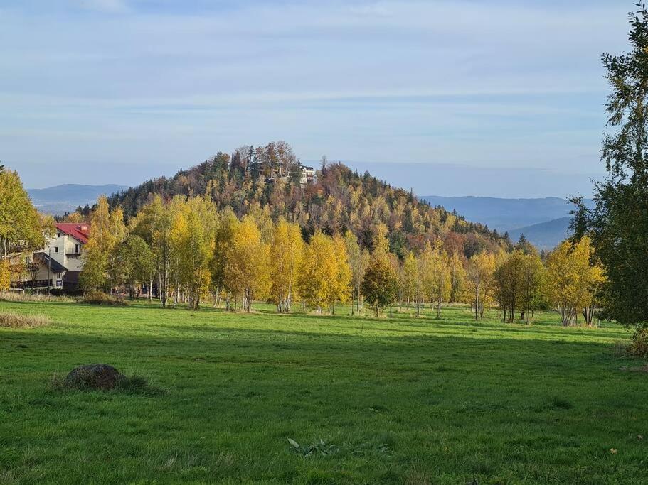 Rezydencja Green Hill - Ekskluzywny Dom W Karpaczu Exterior foto